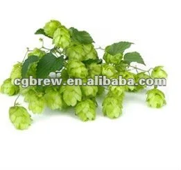 draft beer raw material