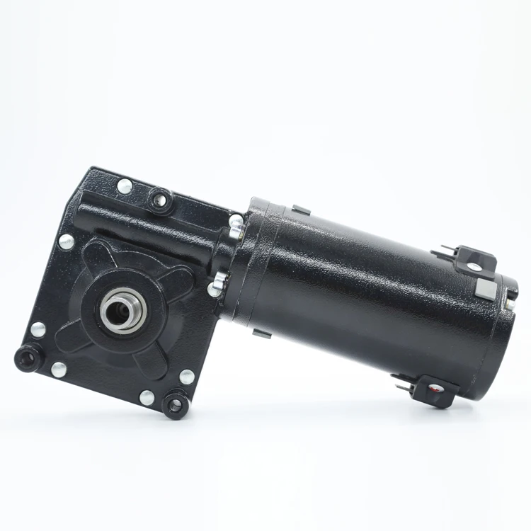 
73ZY12-102WJ 12V 24V 180W-320W Permanent Magnet worm gear Electric Golf Buggies Trolley DC Motor 