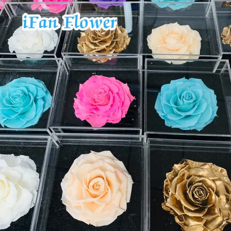 Unique Purple queen color wholesale preserved rose flower ecuador wholesale flowers