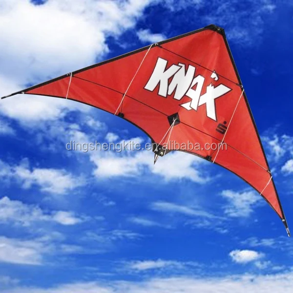 China manufacturer double line customized stunt kites