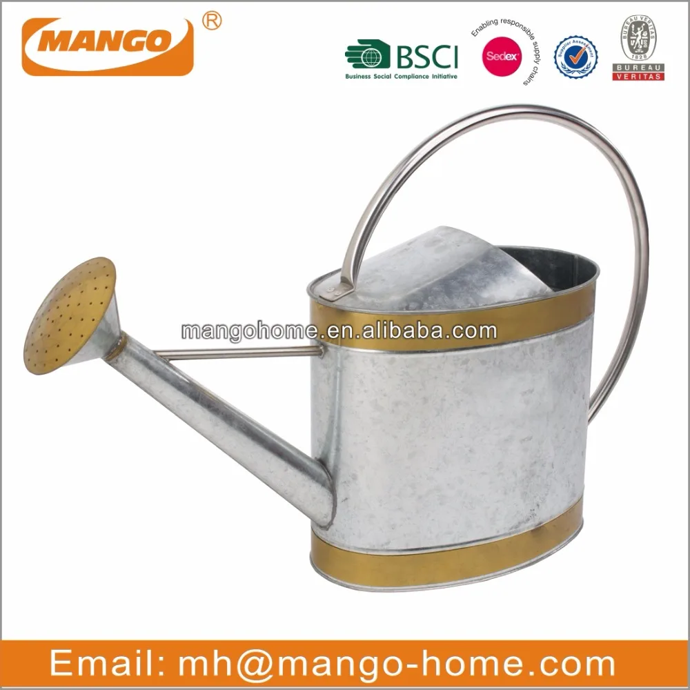 Countryside Garden Watering Can Metal Flower Pot