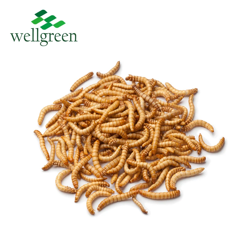 
WellGreen Supply High Quality Pet Food Dried Insect with 11years 