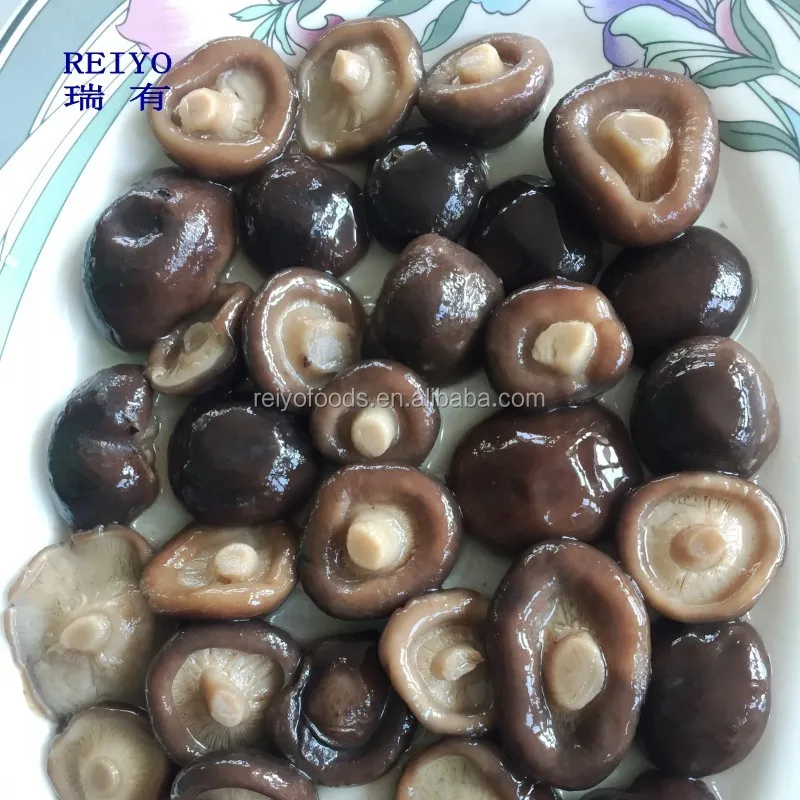 
delicious canned shiitake mushroom whole 