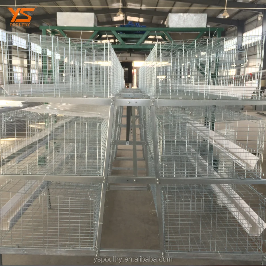
Design Complete Poultry Chicken Farm Cage for Broiler and Breeder 