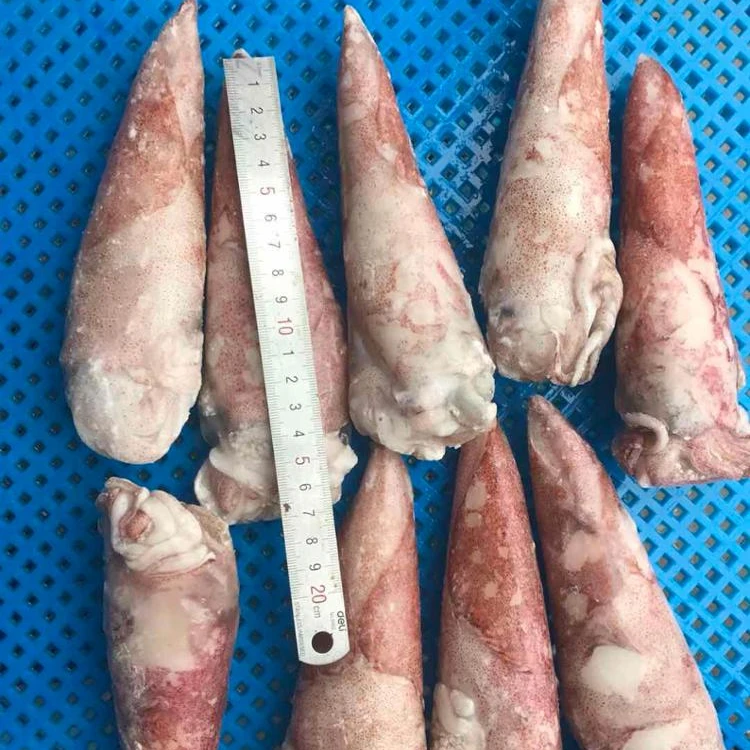 
Loligo Chinensis Squid IQF whole round 