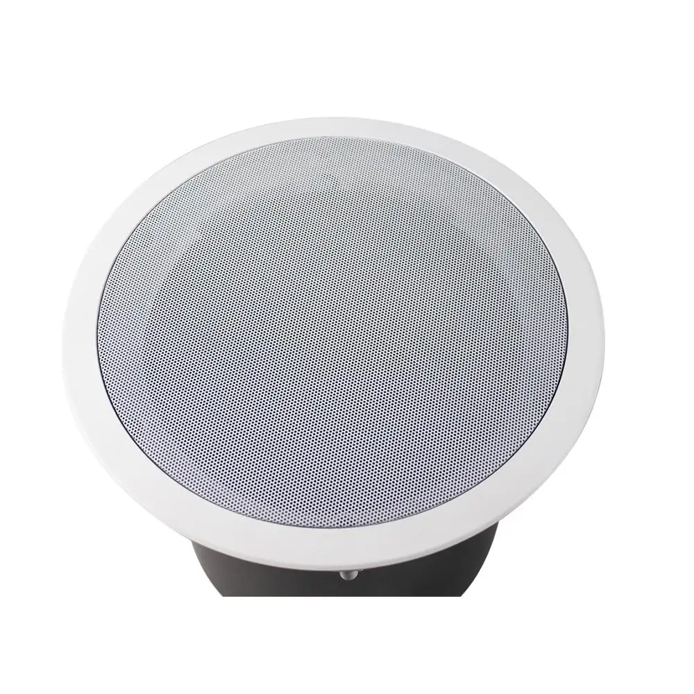 10 inch 60/120/240W at 4 ohm subwoofer ceiling speaker with heavy metal fire dome suitable for sub bass applications