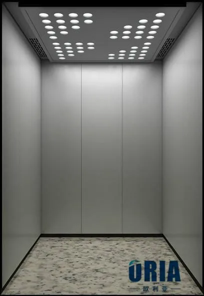 ORIA Modern Home Residential Elevator Mordenized Villa Elevator with Hydraulic and AC Drive for Outdoor Use V-19