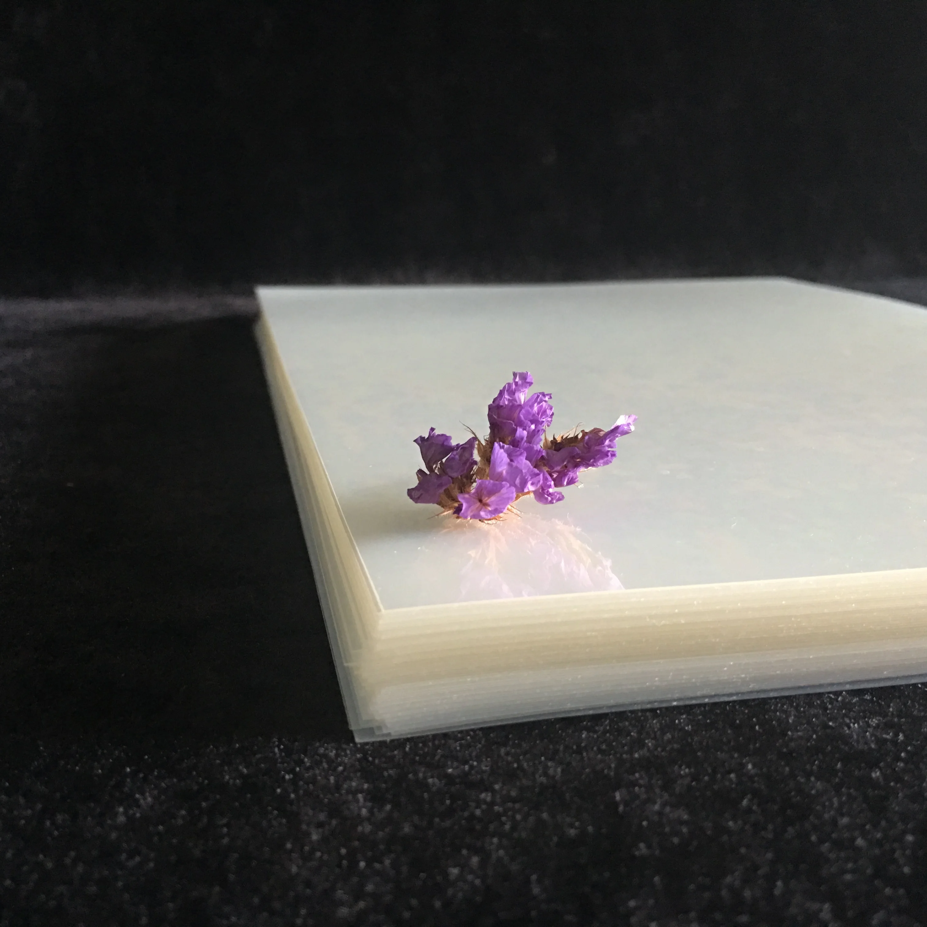 Рулон/лист водонепроницаемая пленка для струйной печати полупрозрачная эмульсионная пленка для трафаретной печати 250 микрон офсетная печатная машина запасной порт