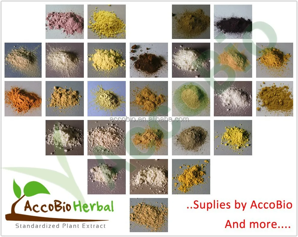 
100% Natural Tibet Saffron extract, Saffron extract powder, Saffron price 