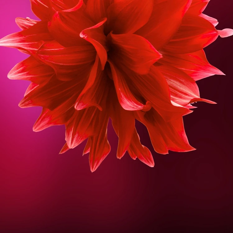 OEM brand mini pocket waterless Antibacterial hand gel