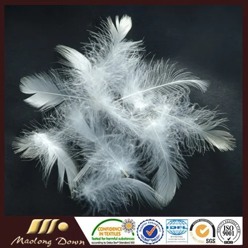 Washed White Goose Feather Sofa Cushion Pillow Filling Material
