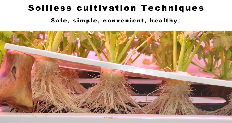 Hi-Tech Bluetooth Control Advanced NFT Growing System Grow Systems with Hydroponic Controller