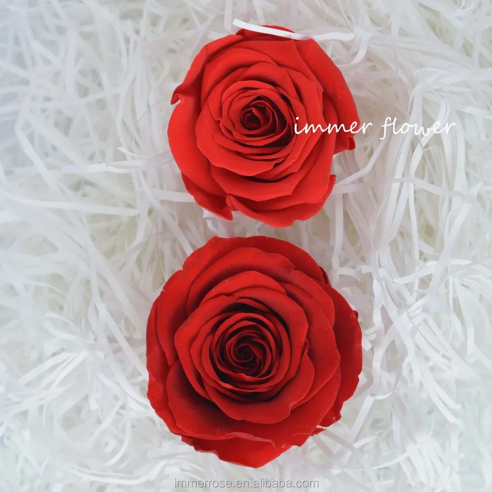 Luxury forever real touch preserved flower preserved roses holland
