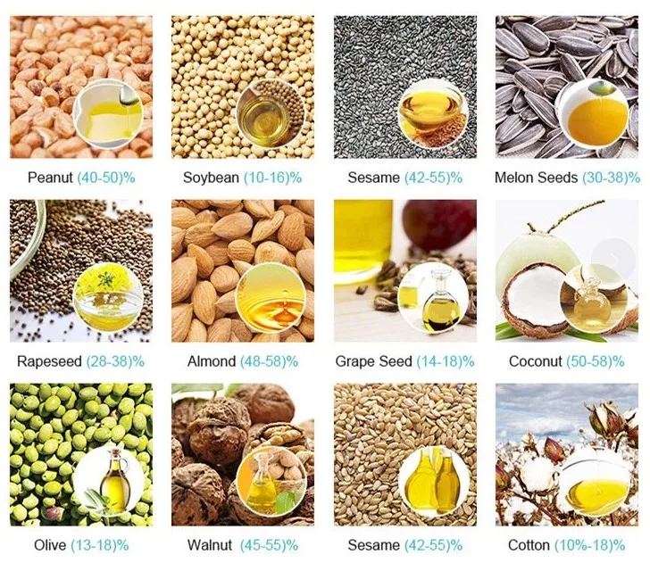 Screw Press Mustard Oil Expeller Machine Peanut Oil Press Machine Automatic Industrial Hemp Silver Food Industry Provided Great