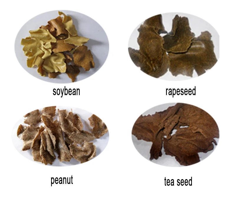 Automatic peanut groundnut walnut castor seeds sesame  moringa olive copra oil press extruder extractor mill expeller machine