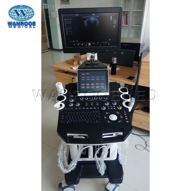 USC80Plus Medical Pregnancy OB/GYN Abdomen Fetal Portable Diagnostic Ultrasound Machine for Sale