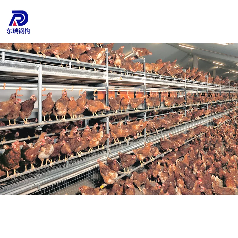 Portable poultry commercial chicken house designs