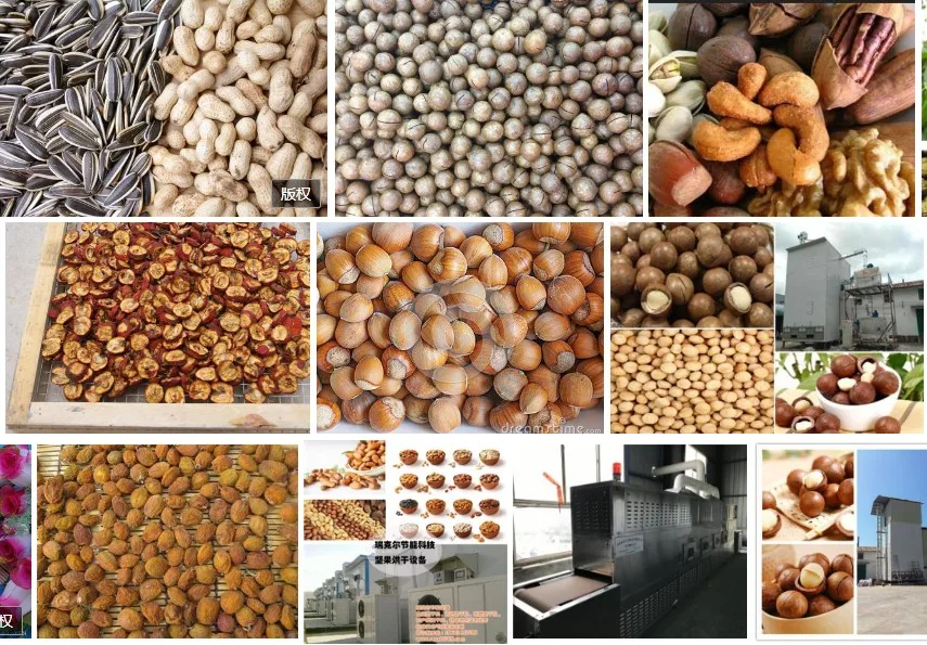 Industrial electric gas heating  continuous  shell nut  peanut roasting oven