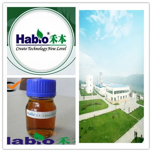 
Biodiesel Lipase chemical agent Industry additive enzyme 