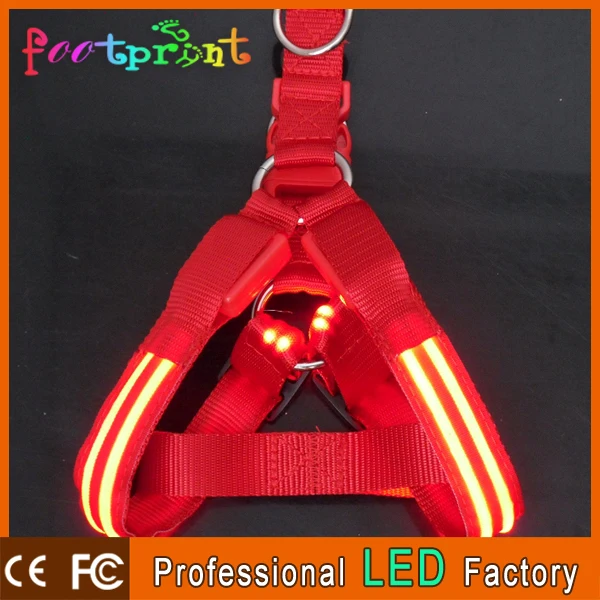 Из светодиодов двойные фары использовать для собаки