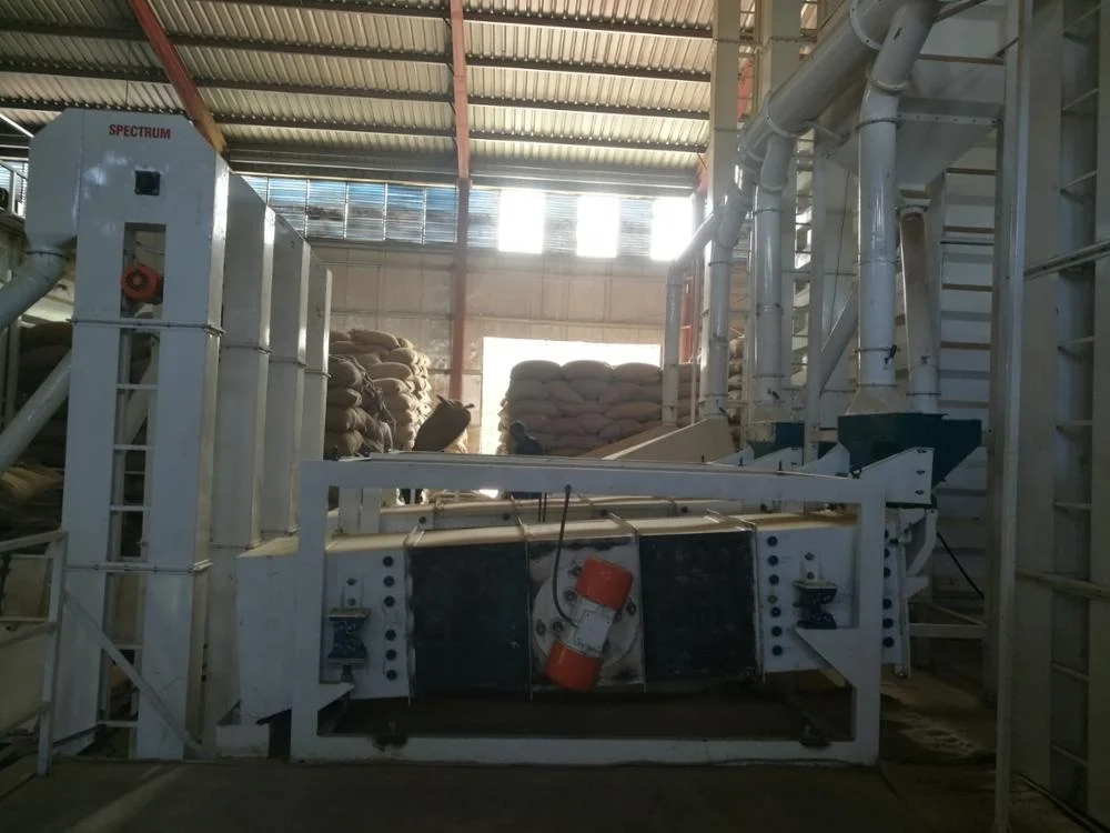 Линия для очистки кофейных какао-бобов по европейскому стандарту