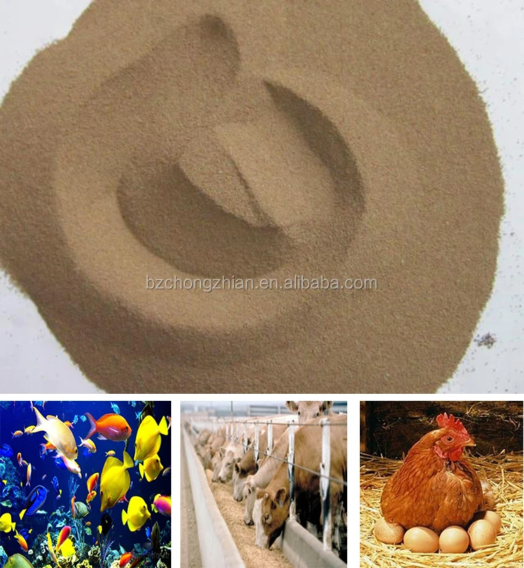 Best sale china artemia cysts Hot Professional Lower Price