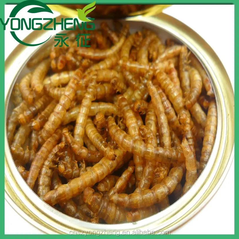 Bird Organic Food For Sale Dried Mealworms