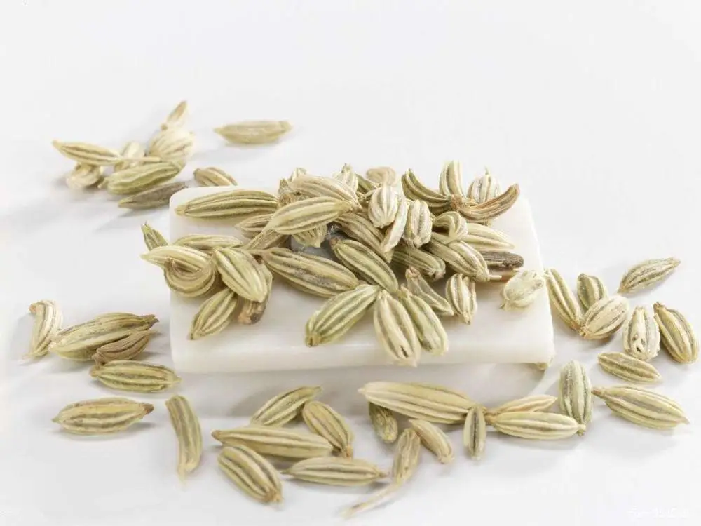 
Food Grade Pure NaturalCC fennel seeds 