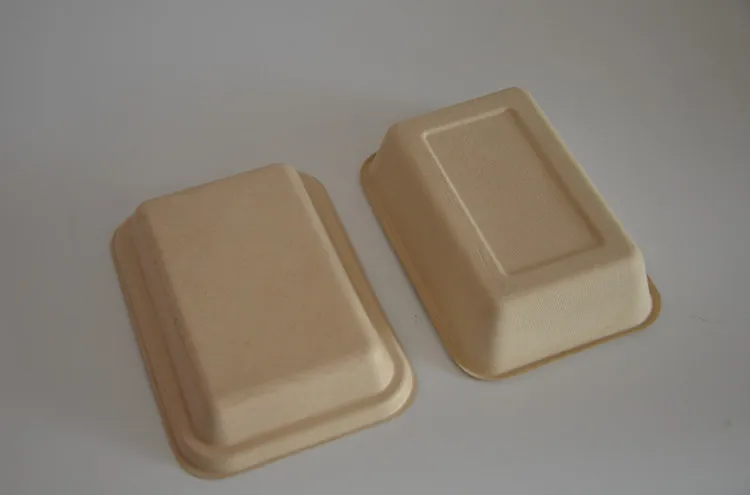 
disposable biodegradable paper pulp takeaway fast food packaging box 