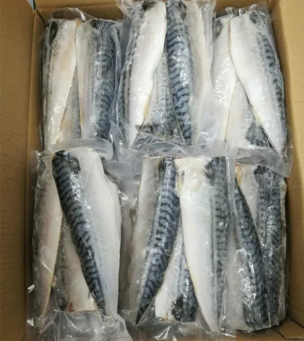 New Season Frozen Atlantic Mackerel Fillet