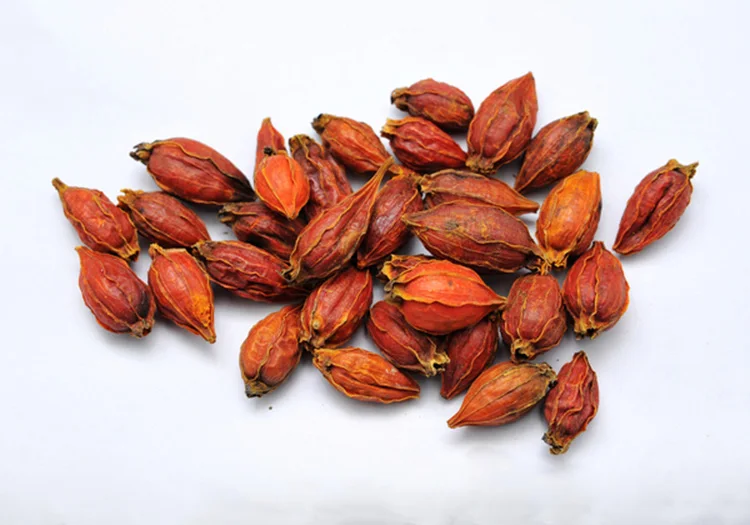 Chinese Plant Cape Jasmine Fruit Gardenia jasminoides Ellis Extract Powder Jasmine Fruit P.E