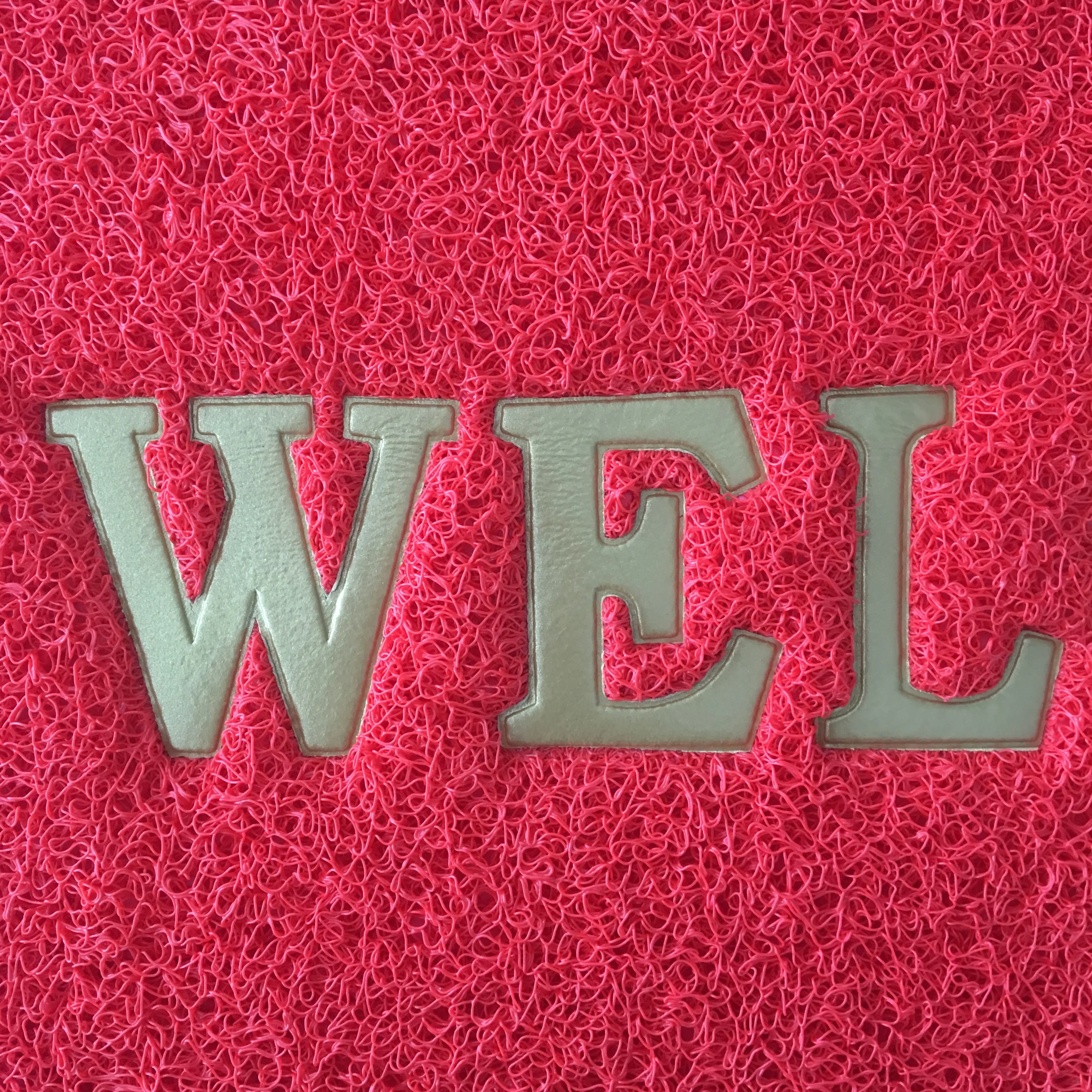 Cheap PVC Coil Floor Mat/Plastic Door Mat