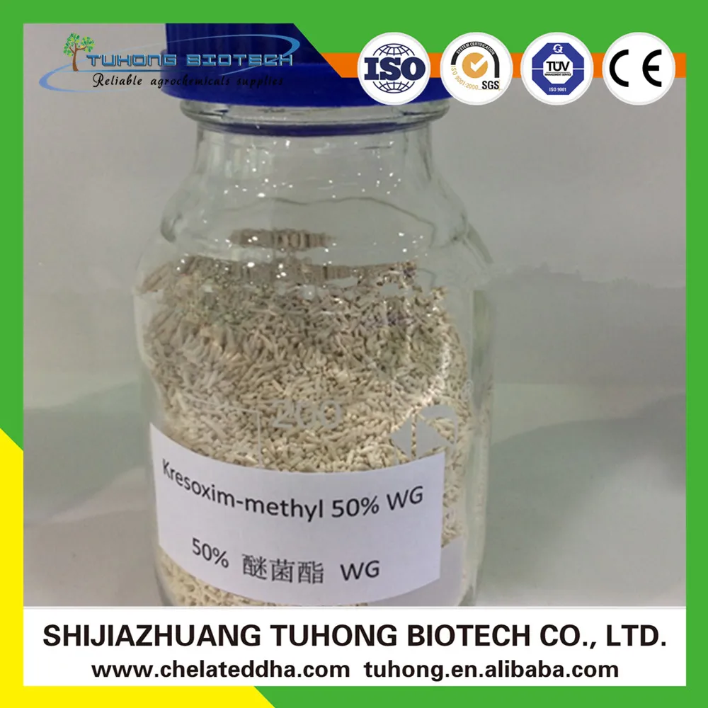 
Kresoxim-Methyl Agrochemical Fungicide 95%TC 50%WDG 30%SC Kresoxim-Methyl 
