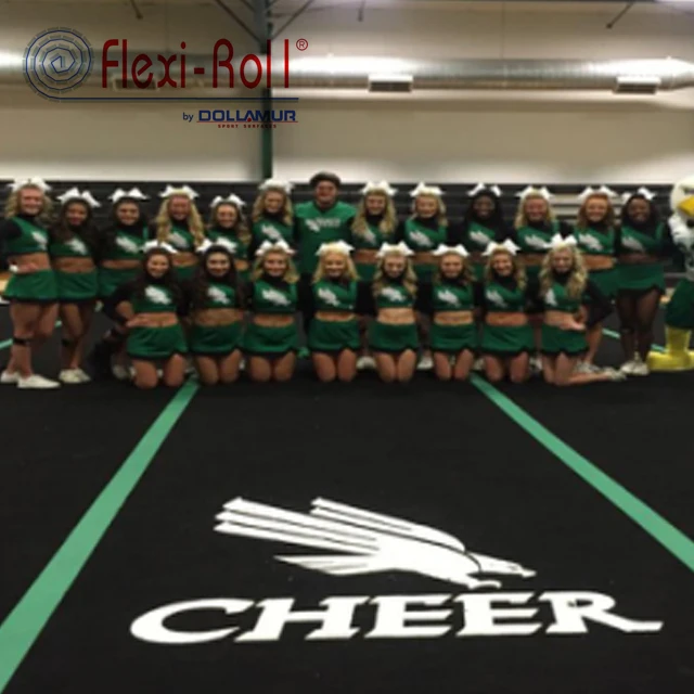 Dollamur gymnastics equipment/carpet rhythmic gymnastics /standard cheerleading mat