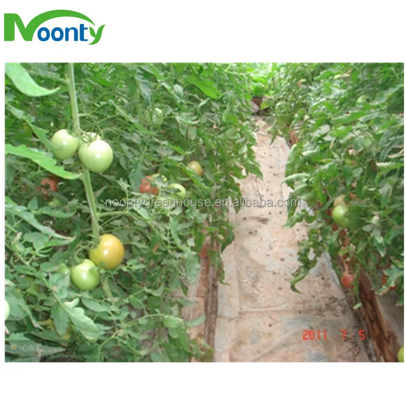Greenhouse Equipment Farm Irrigation System Fertilizer Machine for Lettuce/Tomato/Cucumber/Eggplant/Cherry/Pepper/Herb/Rose Grow