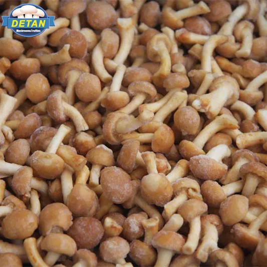 
Buyers for Detan Frozen Nameko Mushrooms 