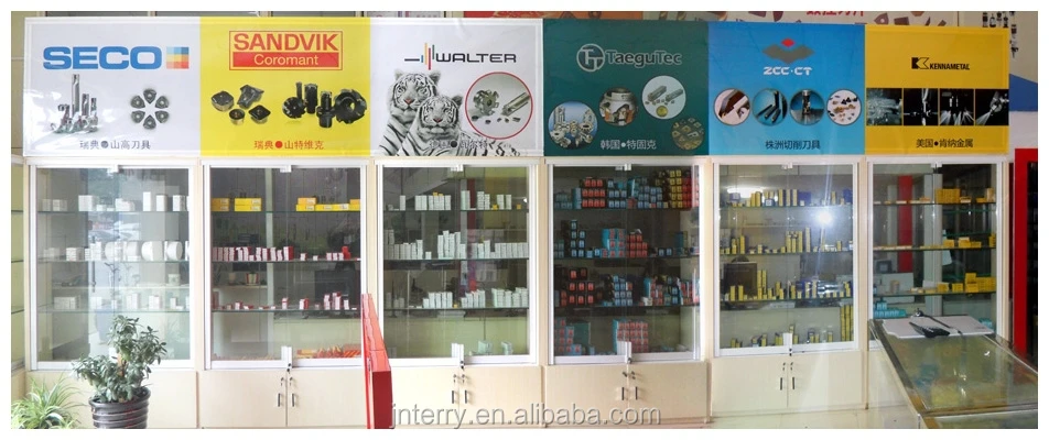 High Quality Carmex Carbide Inserts Metal Cutting Tools 16ER 1.0 ISO BMA