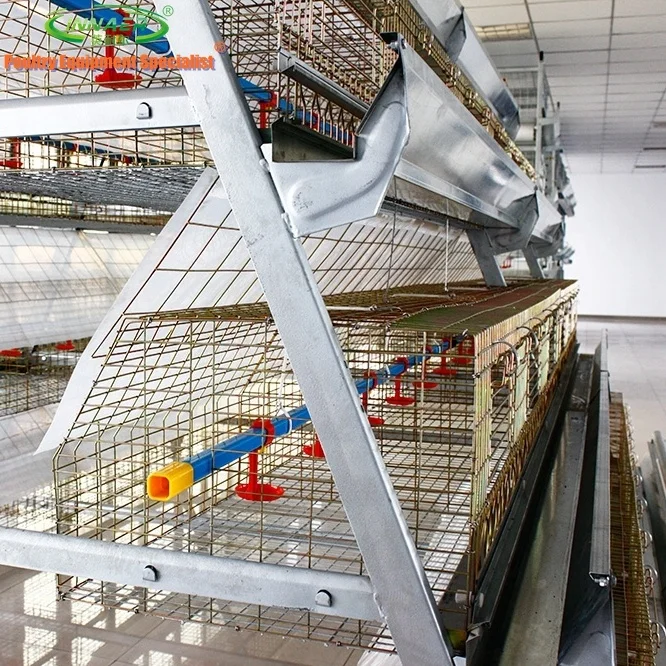 Automatic chicken cage for chicken farm
