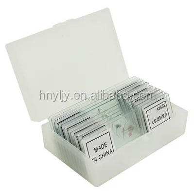 Teaching resources Medical science histology prepared microscope slides/Ovary of Rabbit sec histology prepared slides