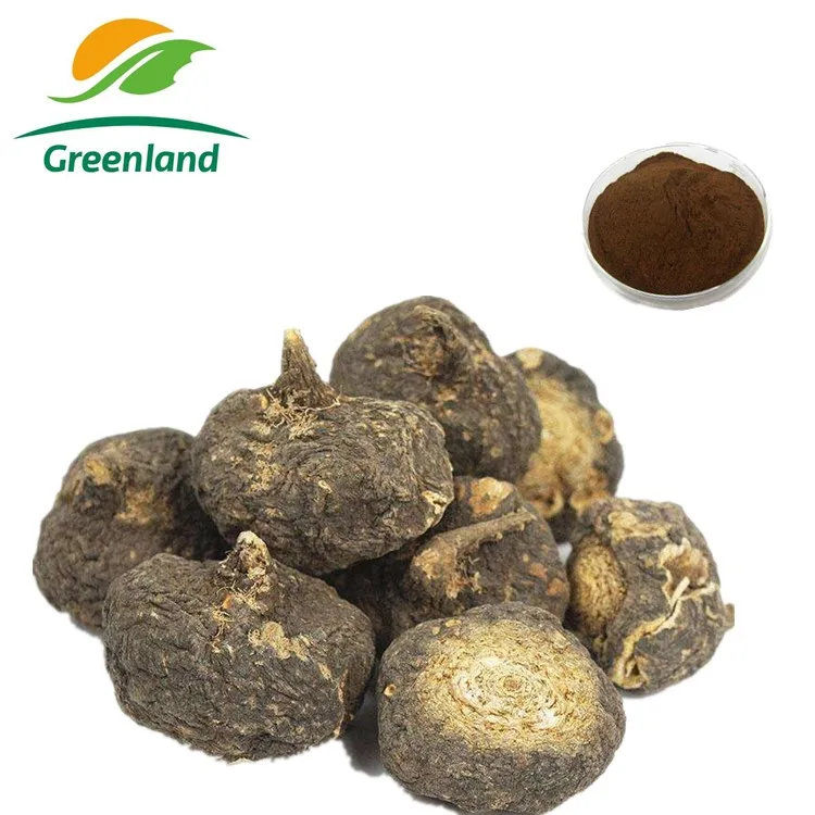Manufacture Supply  Black Peru Maca Root Extract Powder For Sexual Health