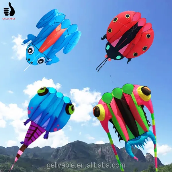 Various shape classical nylon 3d beach show kites