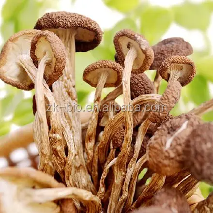 Органические агроциб цилиндрический P.E. Полисахариды