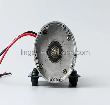 12V/24V/36V/48V Permanent magnet  DC Pumps Motor
