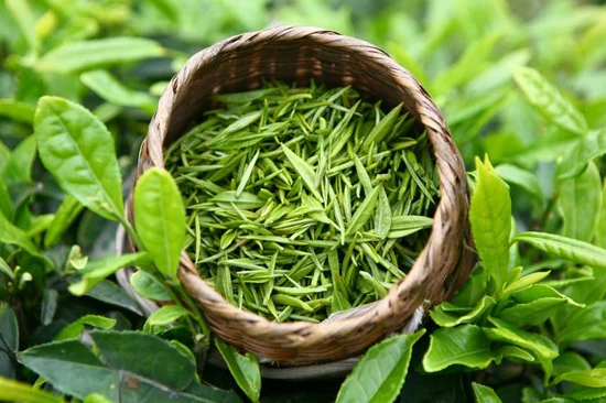 
2018 hot sell Organic green tea extract 