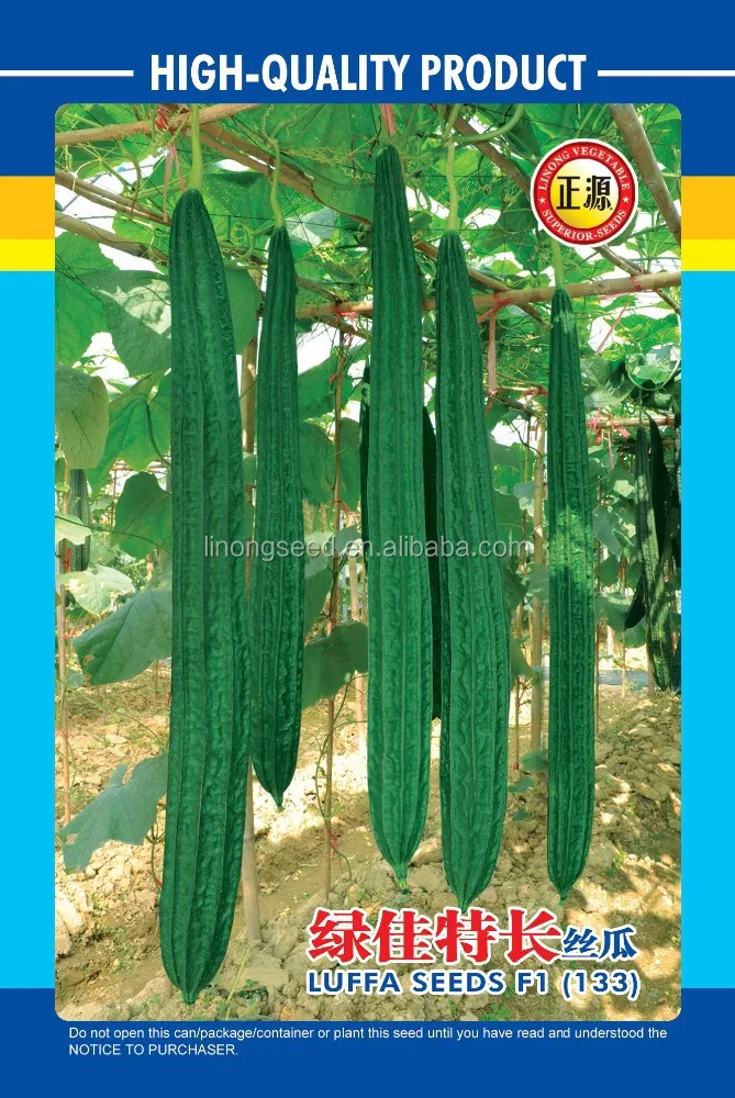 Ридж семена f1 семена овощных культур