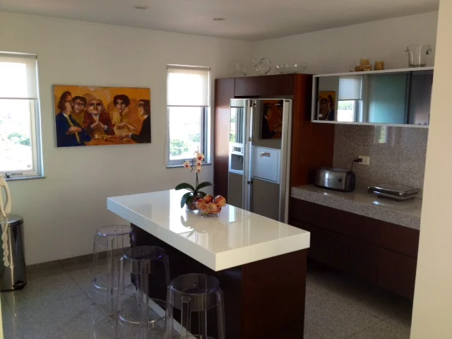 Кухонные столешницы из кварцевого камня