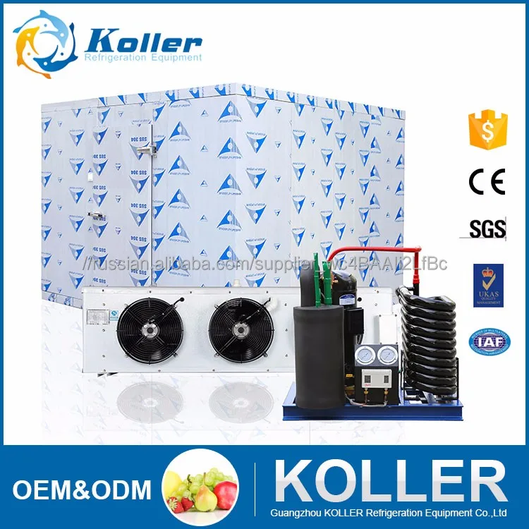 Горячие продажи Холодной комнате ходить в морозильник) для фруктов/рыба/мясо/цветок