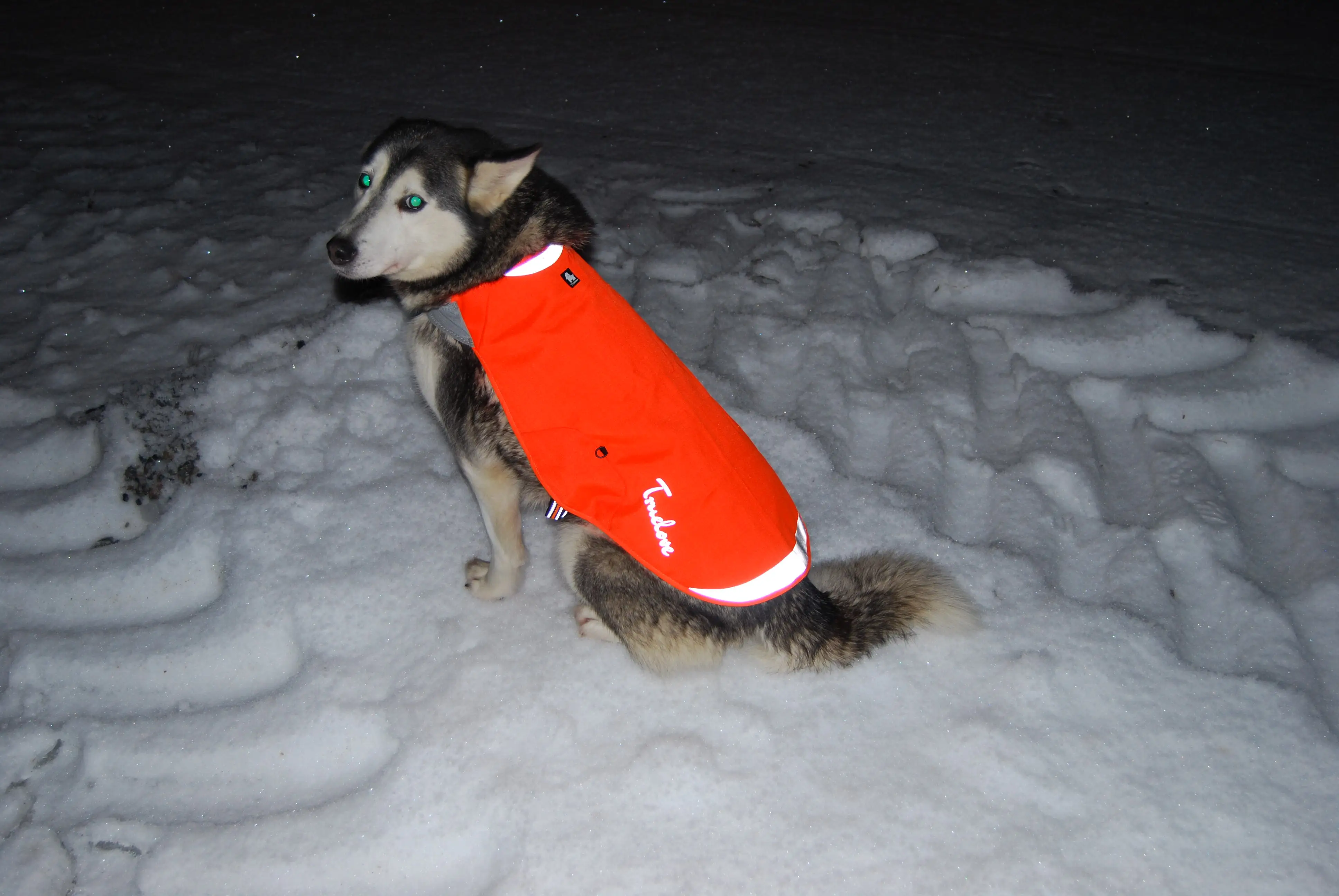 Truelove wholesale summer cool pets dogs clothes vest reflective comfortable mesh waterproof dog pet apparel