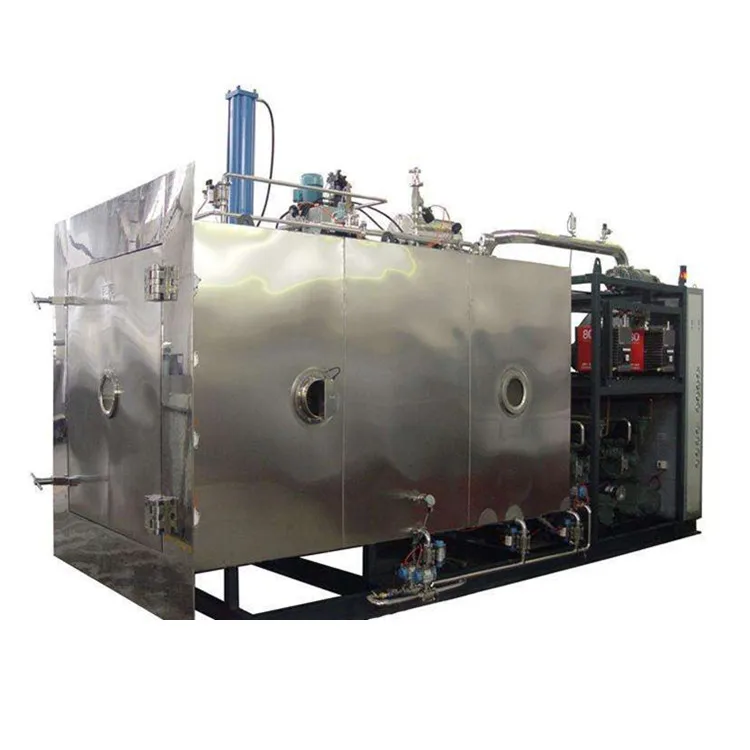 Stainless steel business lyophilizer tomato fruits and vegetables cold air drying frezze machine price