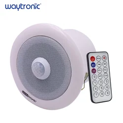 USB Downloadable Small Infrared Sensor LINE IN Mini Ceiling Audio Loudspeaker